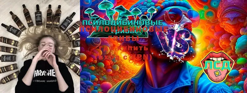 Псилоцибиновые грибы Psilocybe  как найти закладки  Новороссийск 